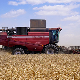 Зерноуборочный комбайн GH800 / GH810